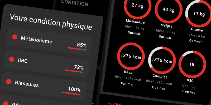 Interface FiTracking - Indicateurs de santé avec cercles progressifs et comparaisons optimum/réel