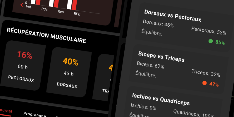 Interface FiTracking - Codes couleurs récupération et jauges équilibres agonistes/antagonistes