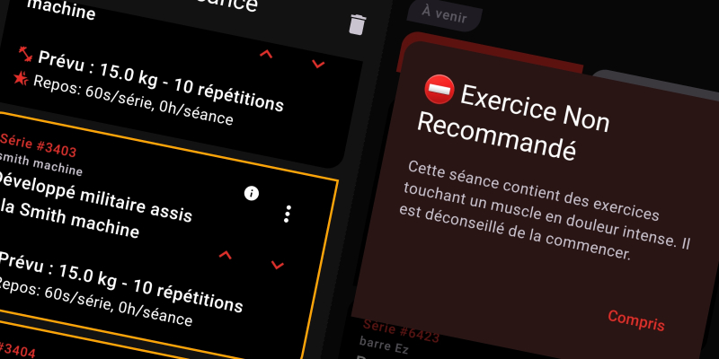 Interface FiTracking - Codes couleurs des séances selon les douleurs signalées